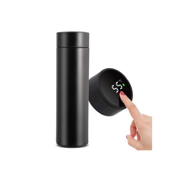 LED Temperature Display Thermal Flask