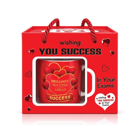 Success Gifts in Uganda – Brilliant Exam Success Mug Gift Bag